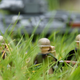 Image for article titled This 14-Year-Old Kid Is a Lego Genius
